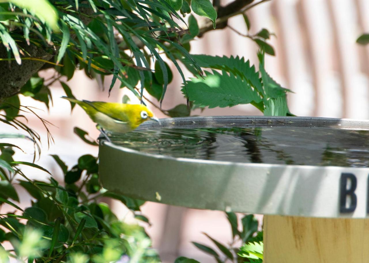 Bird Hotel Kamakura Zewnętrze zdjęcie